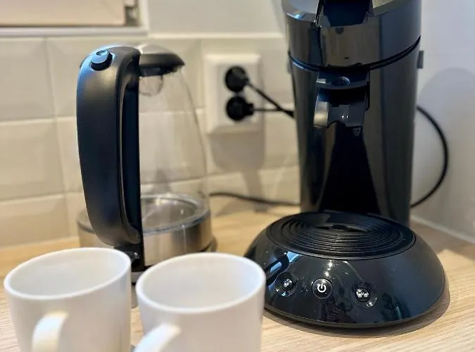 Wellness At Sea * 海边的艾格蒙特